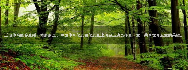 雨燕360体育直播免费高清