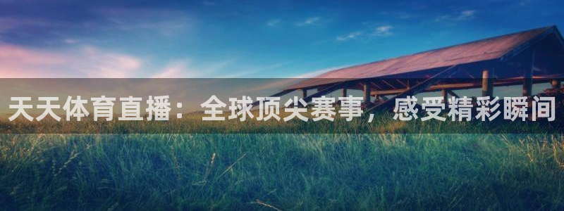 雨燕360直播高清nba：天天体育直播：全球顶尖赛事，感受精彩瞬间