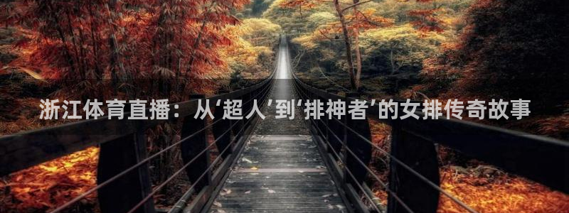 雨燕360体育免费直播nba国王：浙江体育直播：从‘超人’到‘排神者’的女排传奇故事