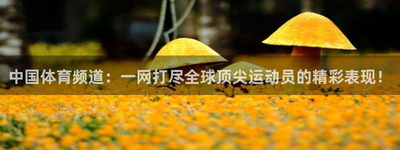雨燕360体育免费观看赛事