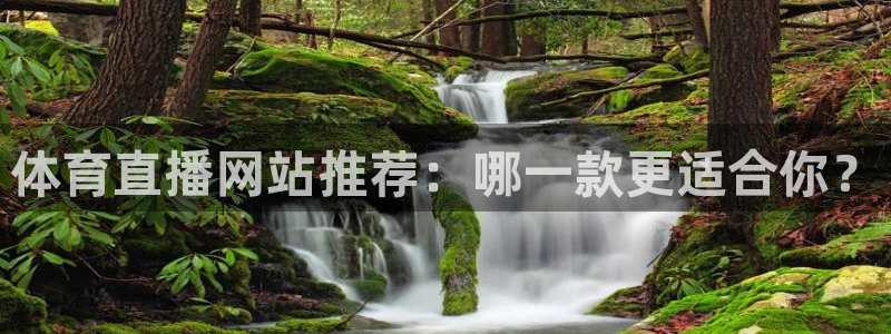 雨燕360直播nba免费观看：体育直播网站推荐：哪一款更适合你？